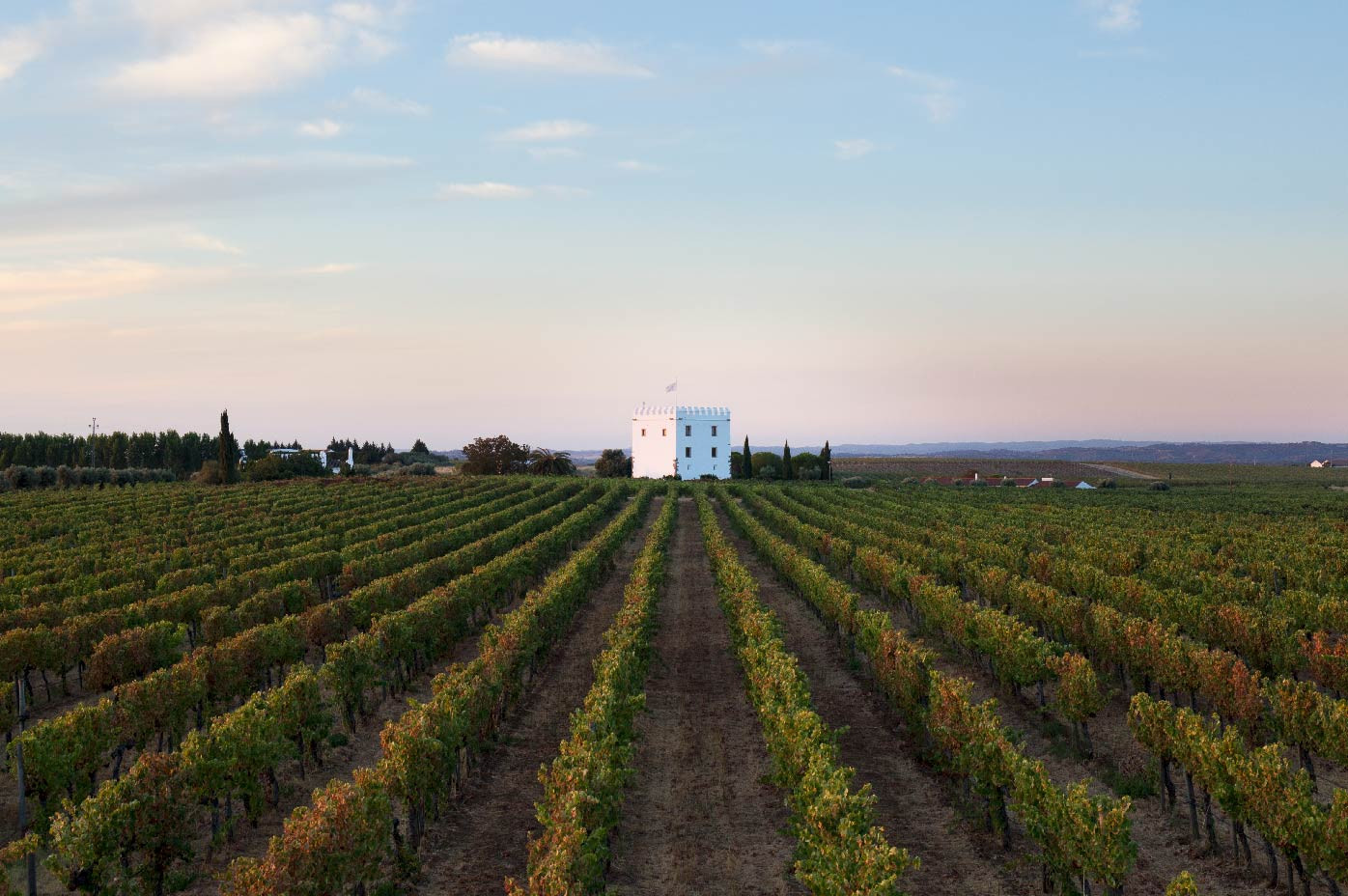 Temporäre HLK-Lösungen für Wein- und Olivenölproduktion